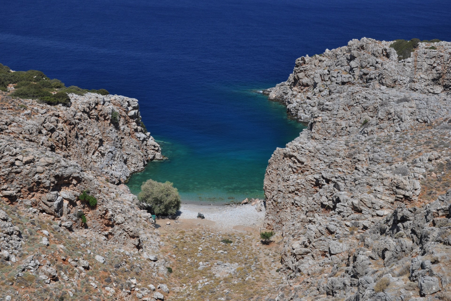 Αγριόμαντρα